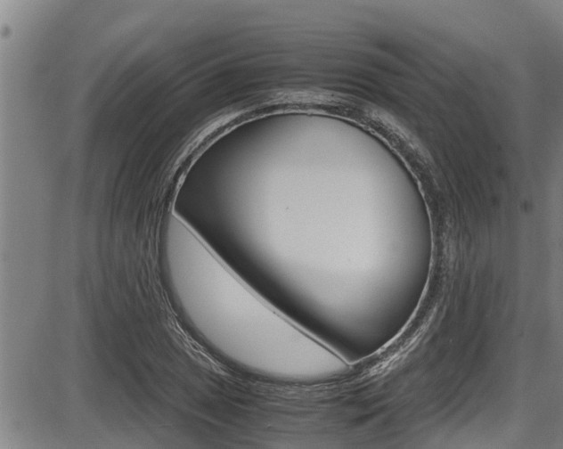 X0000087641025200705030747