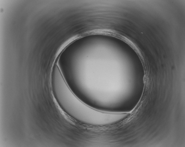 X0000087641050200705030747