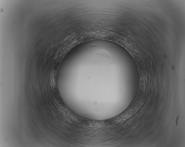 X0000087641058200705030747
