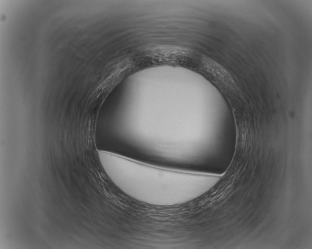 X0000087641060200705030747