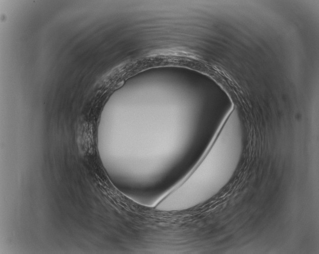X0000087641062200705030747