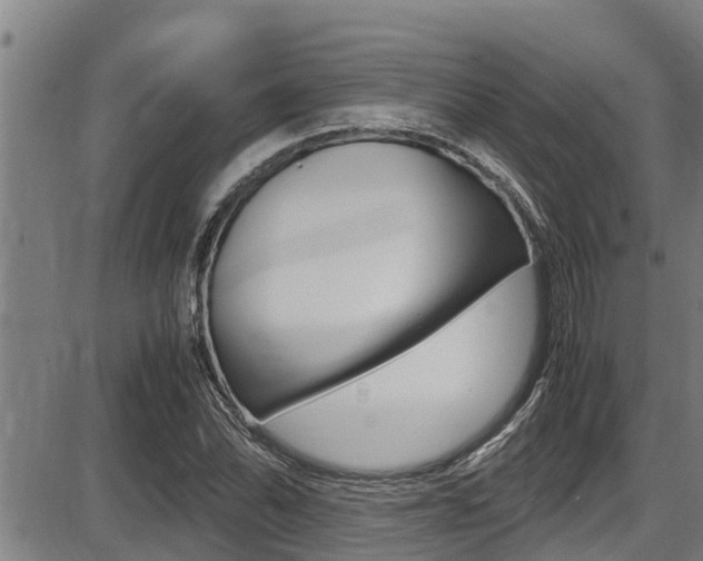 X0000087641070200705030746