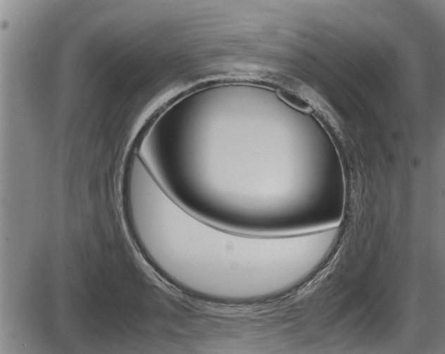 X0000087641085200705030746