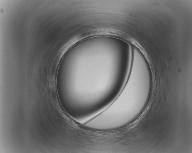 X0000087641089200705030746