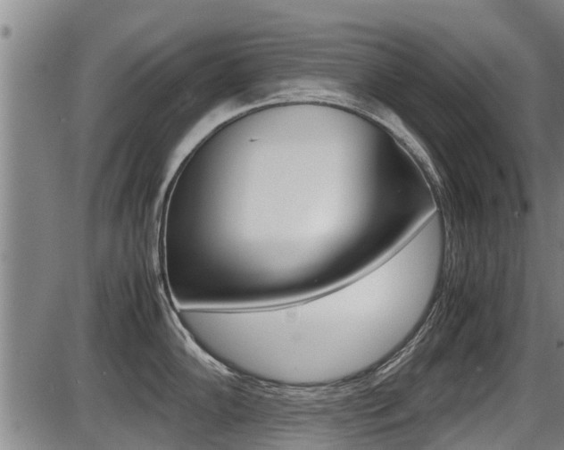 X0000087641102200705030746