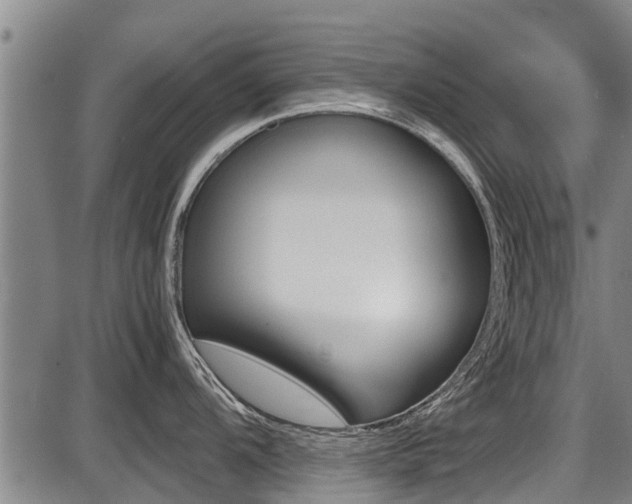 X0000087641104200705030746