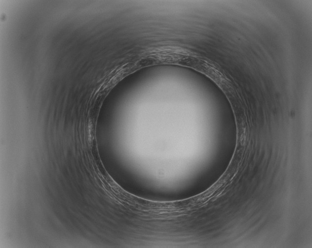X0000087641108200705030745