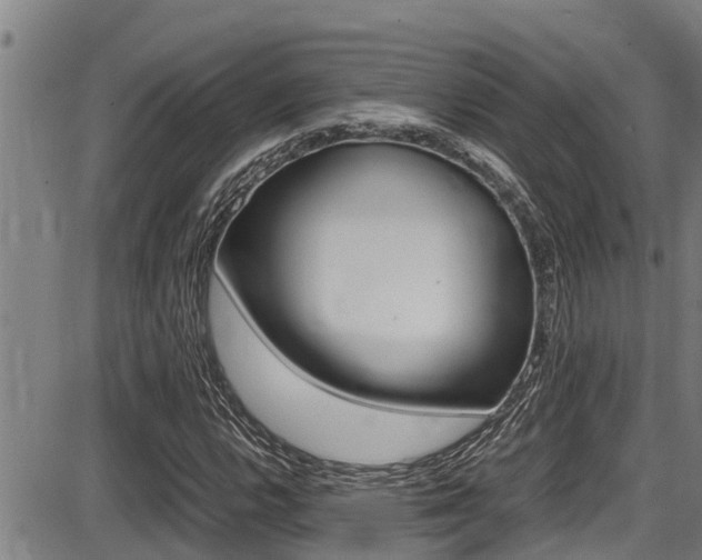 X0000087641112200705030745