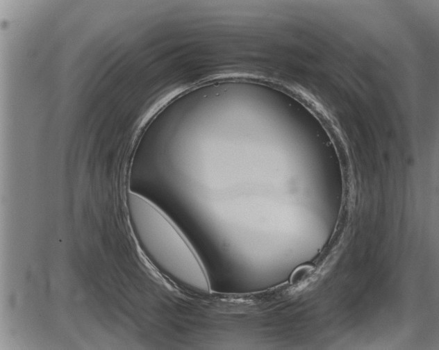 X0000087641137200705030746