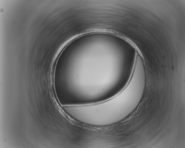 X0000087641148200705030746