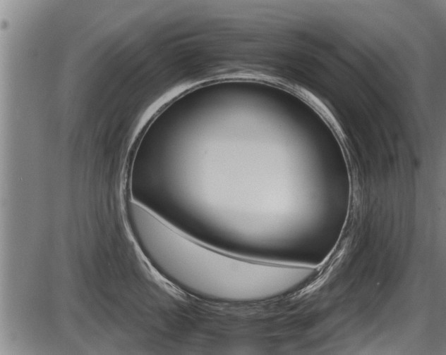 X0000087641149200705030746