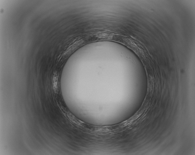 X0000087641154200705030745