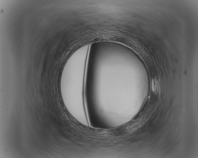 X0000087641155200705030745
