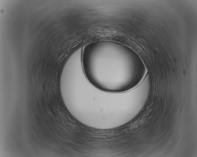 X0000087641156200705030745