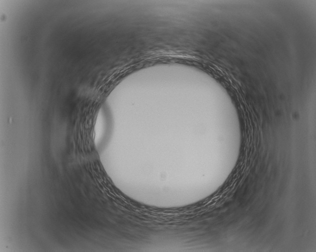 X0000087641157200705030745