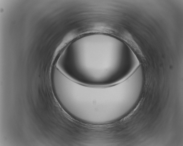 X0000087641180200705030745