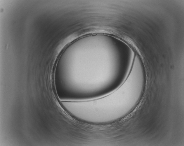 X0000087641181200705030745
