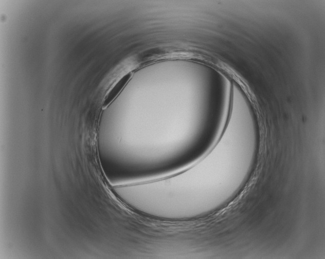 X0000087641193200705030744