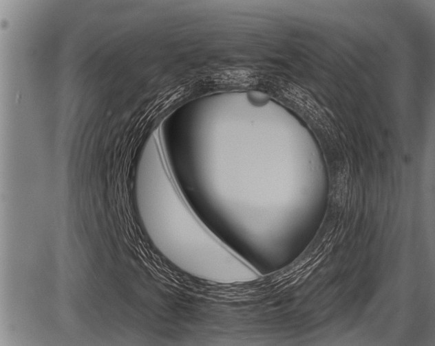 X0000087641201200705030744