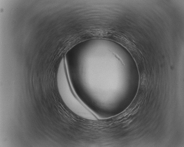 X0000087641202200705030744
