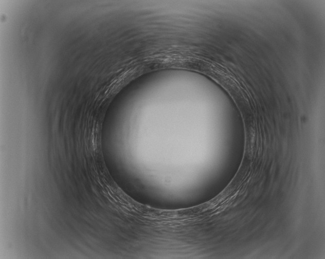 X0000087641250200705030744