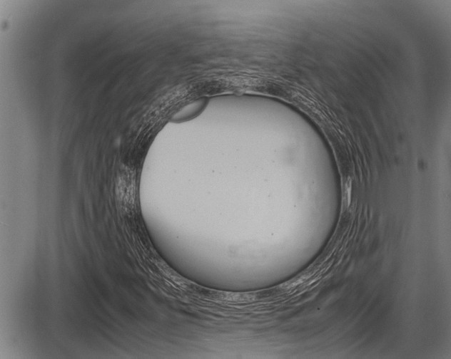 X0000087641251200705030744