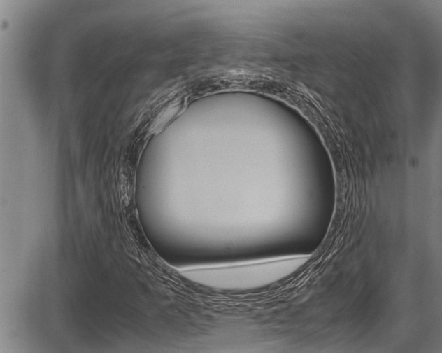 X0000087641253200705030743