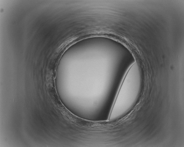 X0000087641265200705030743