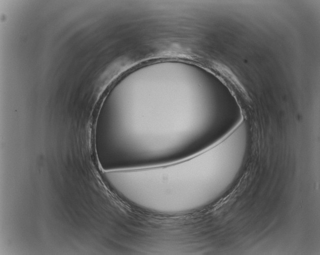 X0000087641268200705030743