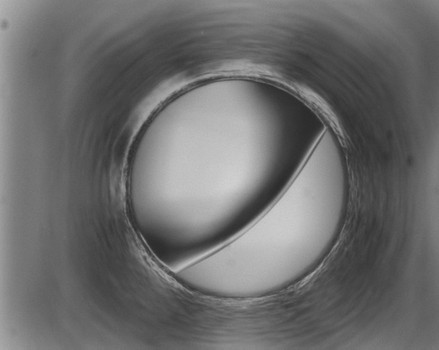 X0000087641288200705030743