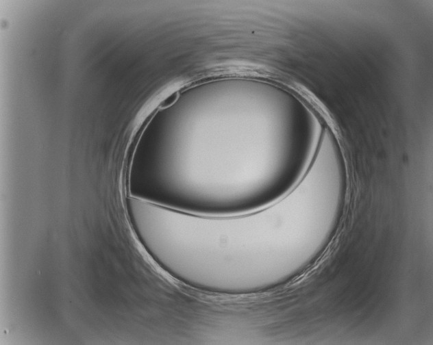 X0000087641293200705030743