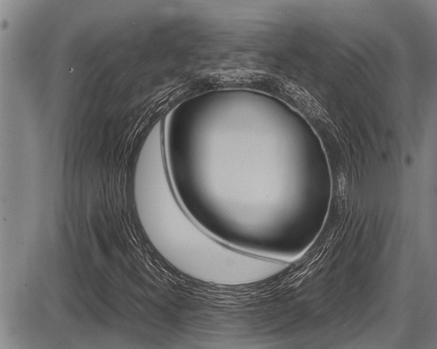 X0000087641300200705030742