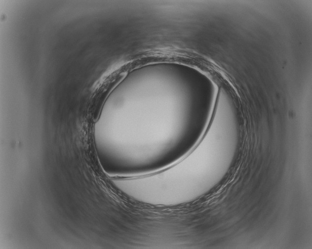 X0000087641304200705030742