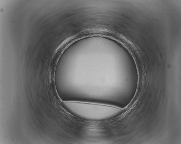 X0000087641306200705030742