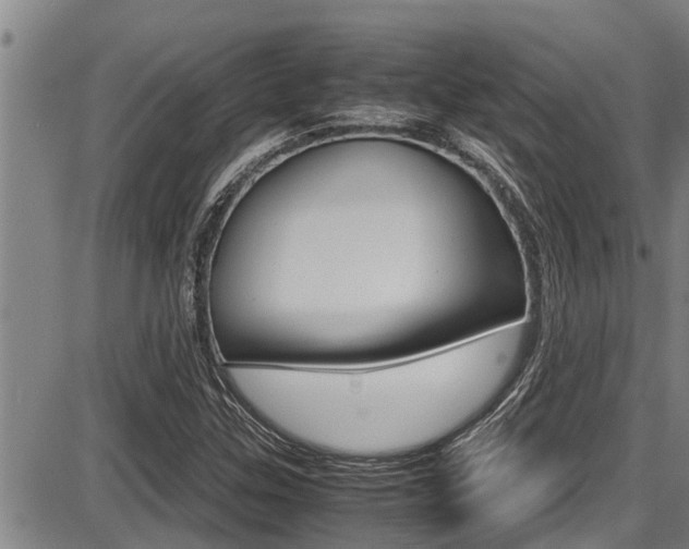 X0000087641307200705030742
