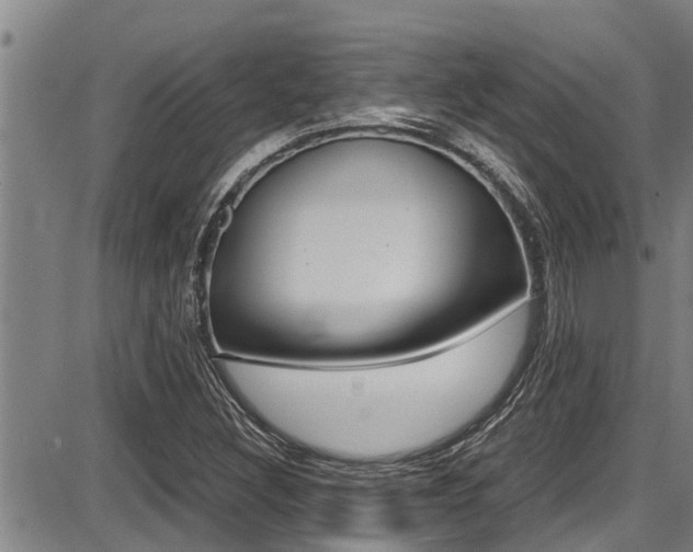 X0000087641308200705030742