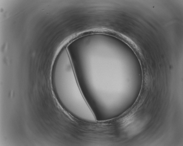 X0000087641327200705030742