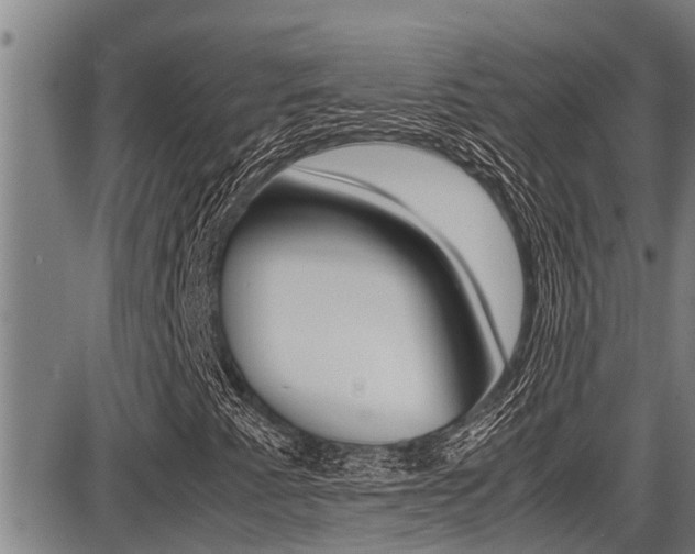 X0000087641345200705030742