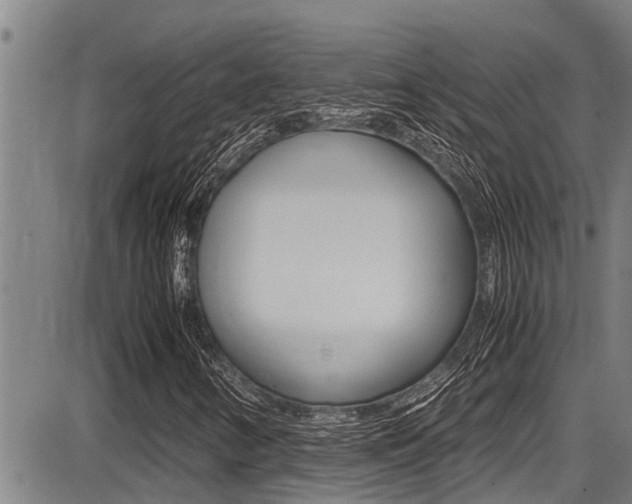 X0000087641346200705030742