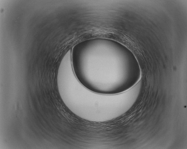 X0000087641348200705030742