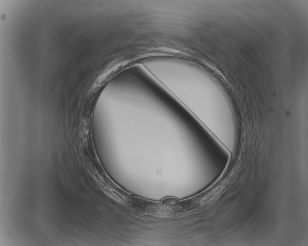 X0000087641355200705030742