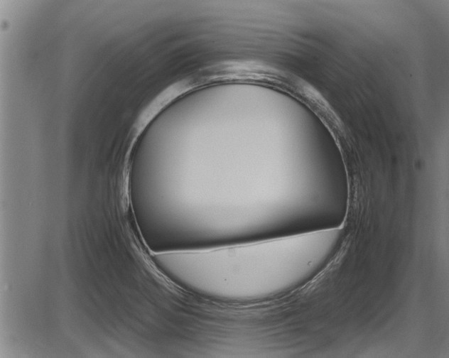 X0000087641370200705030742