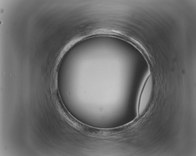 X0000087641371200705030742
