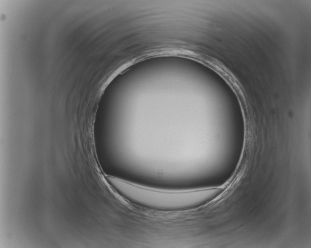 X0000087641385200705030741