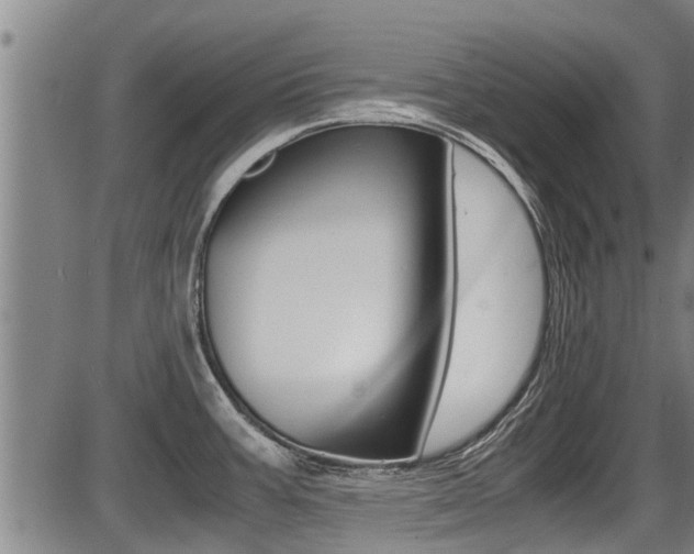 X0000087641387200705030741