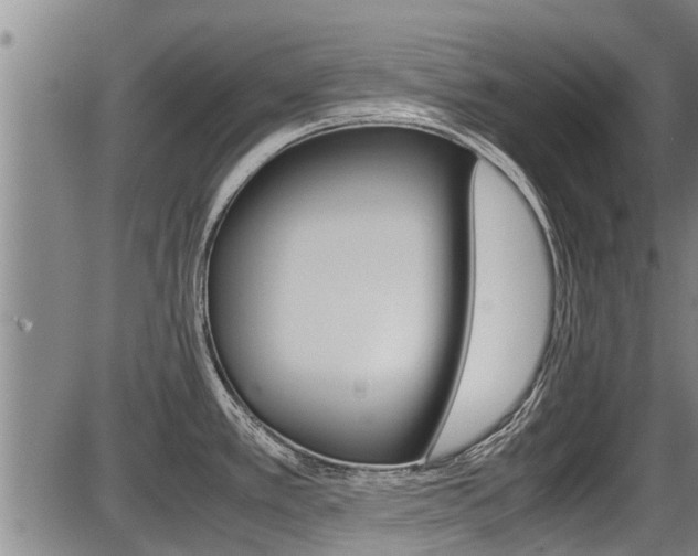 X0000087641389200705030741
