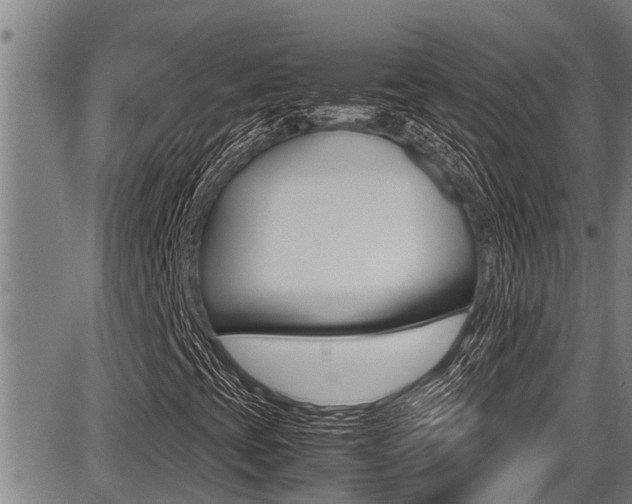 X0000087641393200705030740