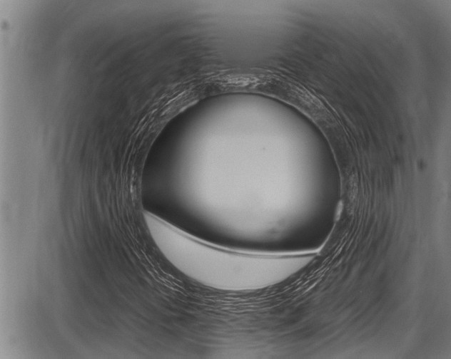 X0000087641394200705030740