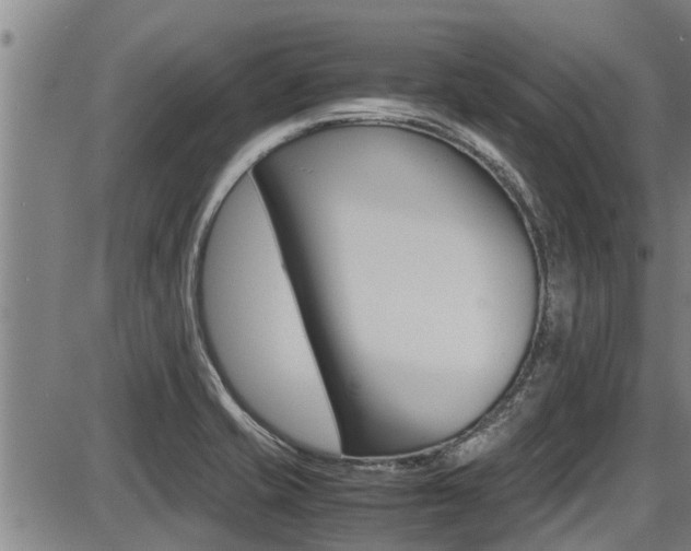 X0000087641421200705030741