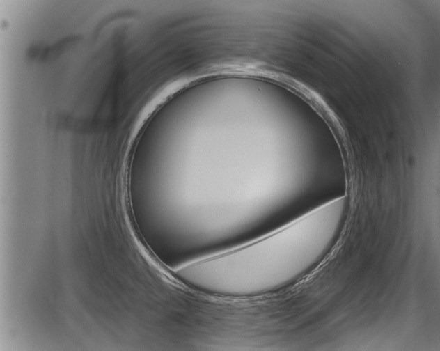 X0000087641432200705030741